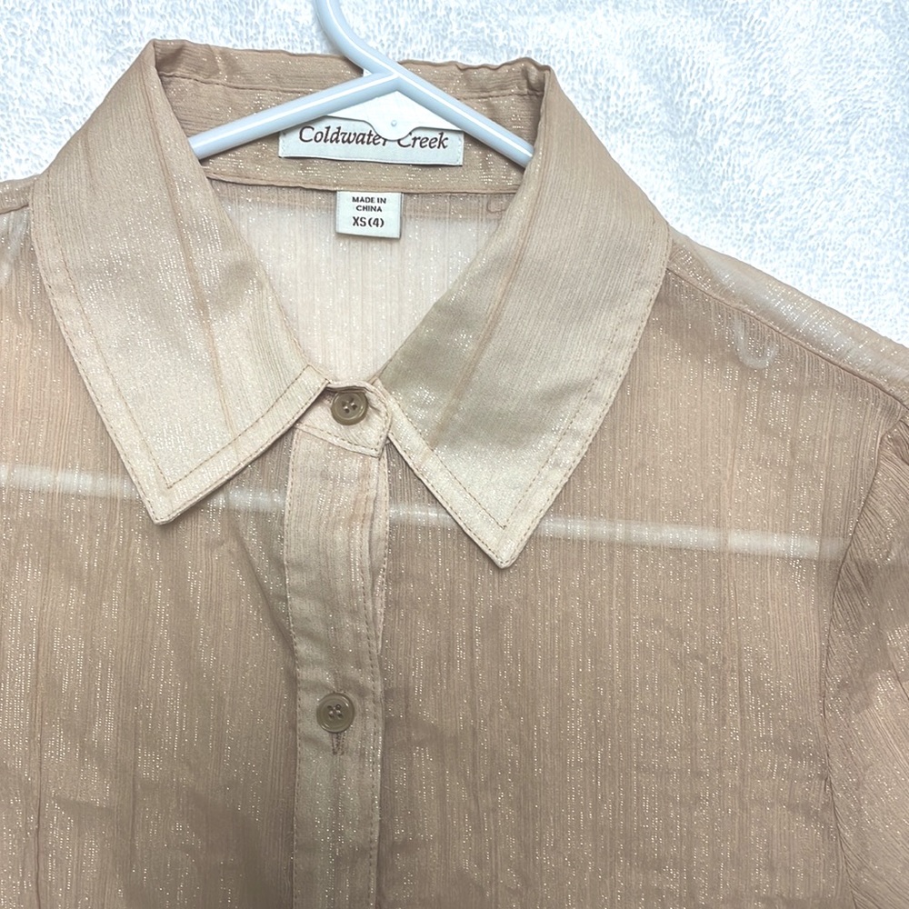 Sheer Sparkly Champagne Button-Up Shirt